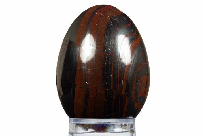 Polished Tiger Iron Egg - South Africa #312692